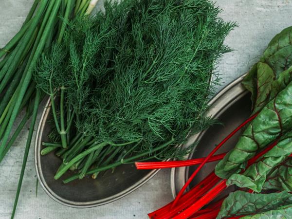 Kako koprc pomaga pri prebavnih težavah?